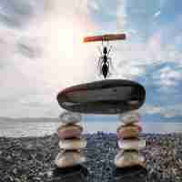 搭﻿建​cdn要‌怎‍么‍配﻿置‍